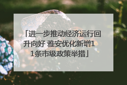 进一步推动经济运行回升向好 雅安优化新增11条市级政策举措