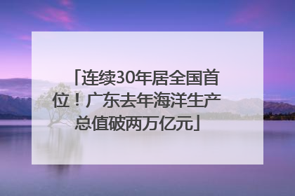 连续30年居全国首位！广东去年海洋生产总值破两万亿元