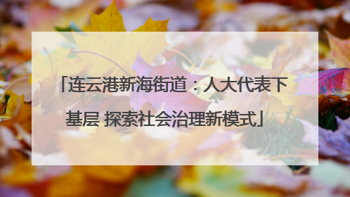 连云港新海街道：人大代表下基层 探索社会治理新模式