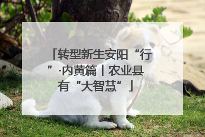 转型新生安阳“行”·内黄篇丨农业县有“大智慧”