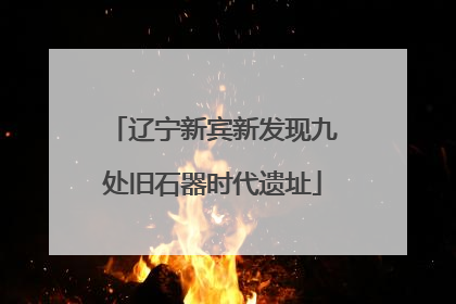 辽宁新宾新发现九处旧石器时代遗址