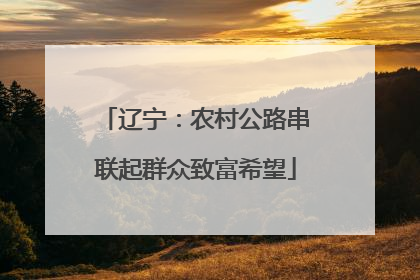 辽宁：农村公路串联起群众致富希望