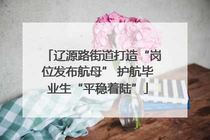 辽源路街道打造“岗位发布航母” 护航毕业生“平稳着陆”