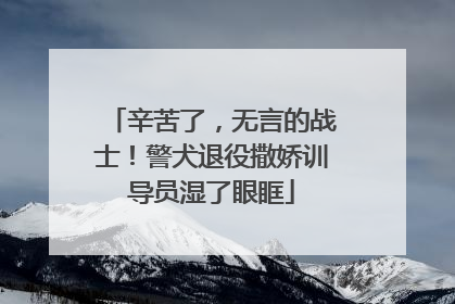 辛苦了，无言的战士！警犬退役撒娇训导员湿了眼眶