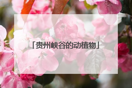 贵州峡谷的动植物