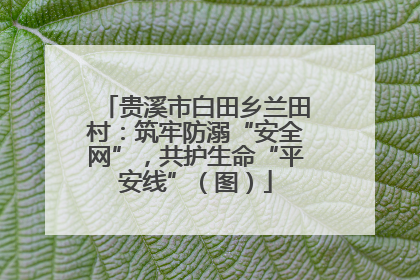 贵溪市白田乡兰田村：筑牢防溺“安全网”，共护生命“平安线”（图）