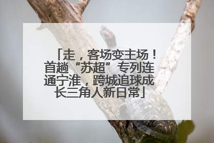 走，客场变主场！首趟“苏超”专列连通宁淮，跨城追球成长三角人新日常