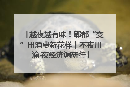 越夜越有味！郫都“变”出消费新花样｜不夜川渝·夜经济调研行