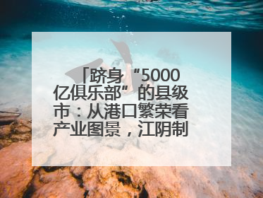跻身“5000亿俱乐部”的县级市：从港口繁荣看产业图景，江阴制造链通全球