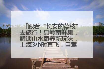 跟着“长安的荔枝”去旅行！品岭南鲜果，解锁山水康养新玩法，上海3小时直飞，自驾高速费优惠