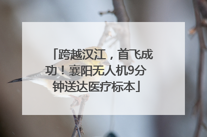 跨越汉江，首飞成功！襄阳无人机9分钟送达医疗标本