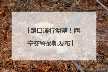路口通行调整！西宁交警最新发布