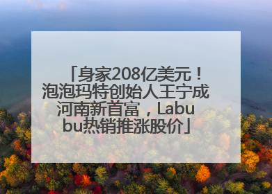 身家208亿美元！泡泡玛特创始人王宁成河南新首富，Labubu热销推涨股价