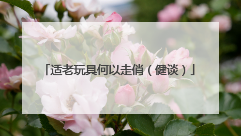 适老玩具何以走俏（健谈）