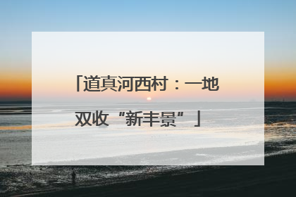 道真河西村：一地双收“新丰景”