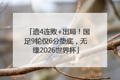 遭4连败+出局！国足9轮仅6分垫底，无缘2026世界杯