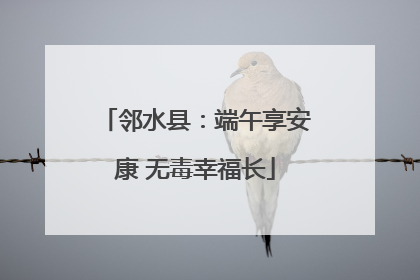 邻水县：端午享安康 无毒幸福长