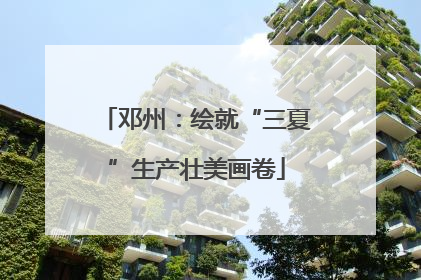 邓州：绘就“三夏”生产壮美画卷