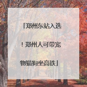 郑州东站入选！郑州人可带宠物猫狗坐高铁