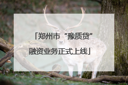 郑州市“豫质贷”融资业务正式上线