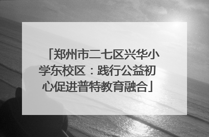 郑州市二七区兴华小学东校区：践行公益初心促进普特教育融合