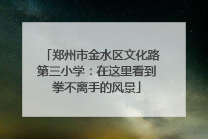郑州市金水区文化路第三小学：在这里看到拳不离手的风景