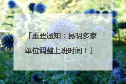 重要通知：昆明多家单位调整上班时间！