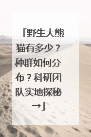 野生大熊猫有多少？种群如何分布？科研团队实地探秘→