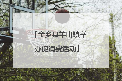 金乡县羊山镇举办促消费活动