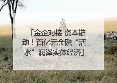 金企对接 资本链动！百亿元金融“活水”润泽实体经济