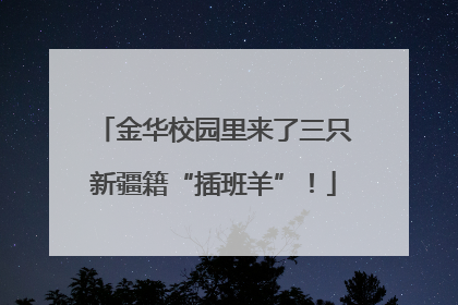 金华校园里来了三只新疆籍“插班羊”！