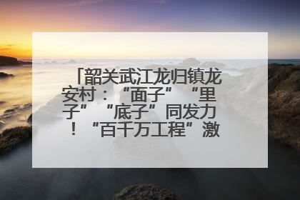 韶关武江龙归镇龙安村：“面子”“里子”“底子”同发力！“百千万工程”激活乡村新动能