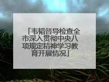韦韬督导检查全市深入贯彻中央八项规定精神学习教育开展情况