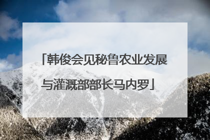 韩俊会见秘鲁农业发展与灌溉部部长马内罗
