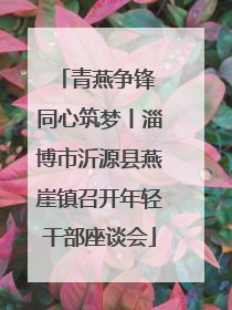青燕争锋 同心筑梦丨淄博市沂源县燕崖镇召开年轻干部座谈会