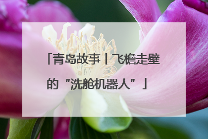 青岛故事丨飞檐走壁的“洗舱机器人”