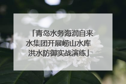 青岛水务海润自来水集团开展崂山水库洪水防御实战演练