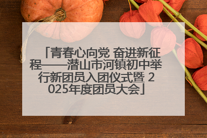 青春心向党 奋进新征程——潜山市河镇初中举行新团员入团仪式暨 2025年度团员大会