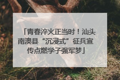 青春淬火正当时！汕头南澳县“沉浸式”征兵宣传点燃学子强军梦