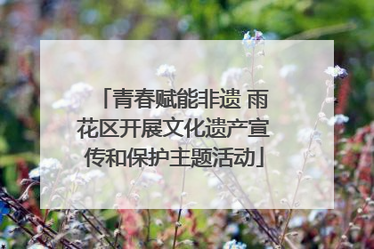 青春赋能非遗 雨花区开展文化遗产宣传和保护主题活动