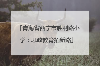 青海省西宁市胜利路小学：思政教育拓新路