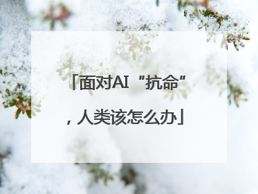 面对AI“抗命”，人类该怎么办