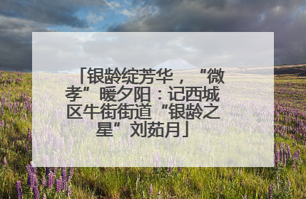 银龄绽芳华，“微孝”暖夕阳：记西城区牛街街道“银龄之星”刘茹月