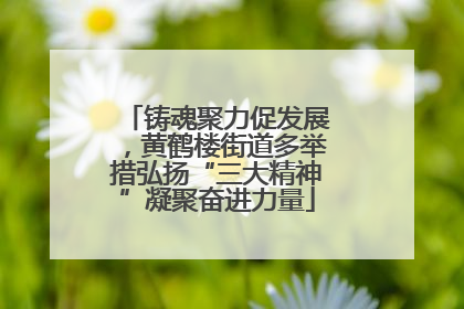 铸魂聚力促发展，黄鹤楼街道多举措弘扬“三大精神”凝聚奋进力量