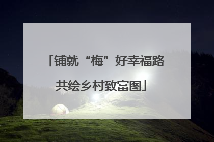 铺就“梅”好幸福路 共绘乡村致富图