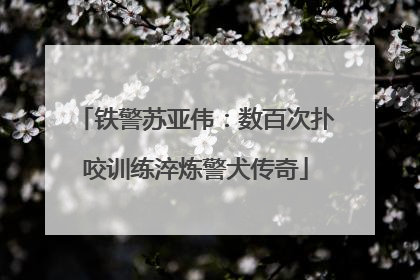 铁警苏亚伟：数百次扑咬训练淬炼警犬传奇