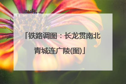 铁路调图：长龙贯南北 青城连广陵(图)