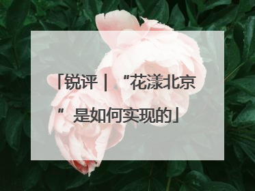 锐评｜“花漾北京”是如何实现的