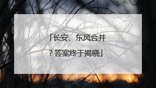 长安、东风合并？答案终于揭晓