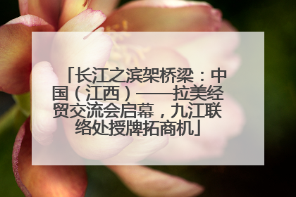 长江之滨架桥梁：中国（江西）——拉美经贸交流会启幕，九江联络处授牌拓商机